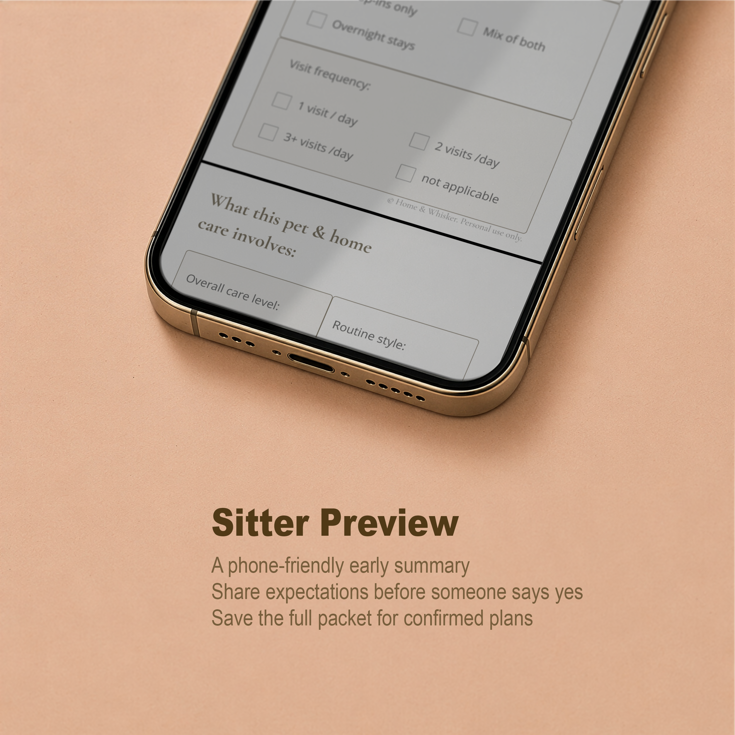 Sitter Preview phone-friendly guided summary